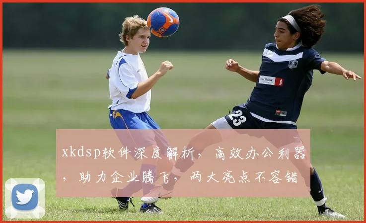 xkdsp软件深度解析，高效办公利器，助力企业腾飞，两大亮点不容错过