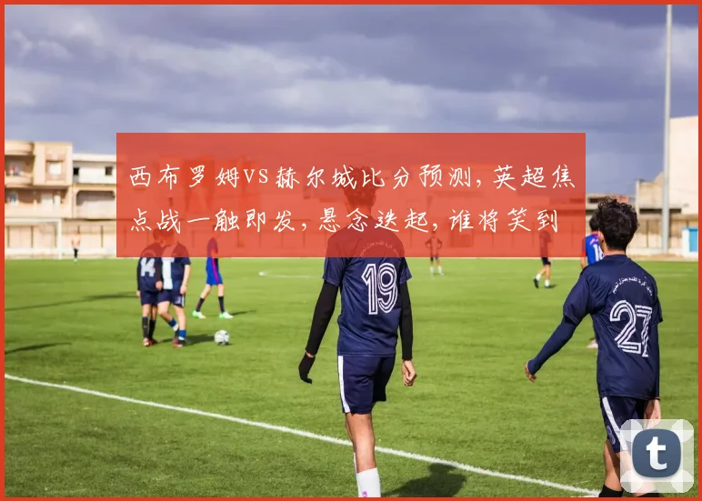 西布罗姆vs赫尔城比分预测,英超焦点战一触即发,悬念迭起,谁将笑到最后