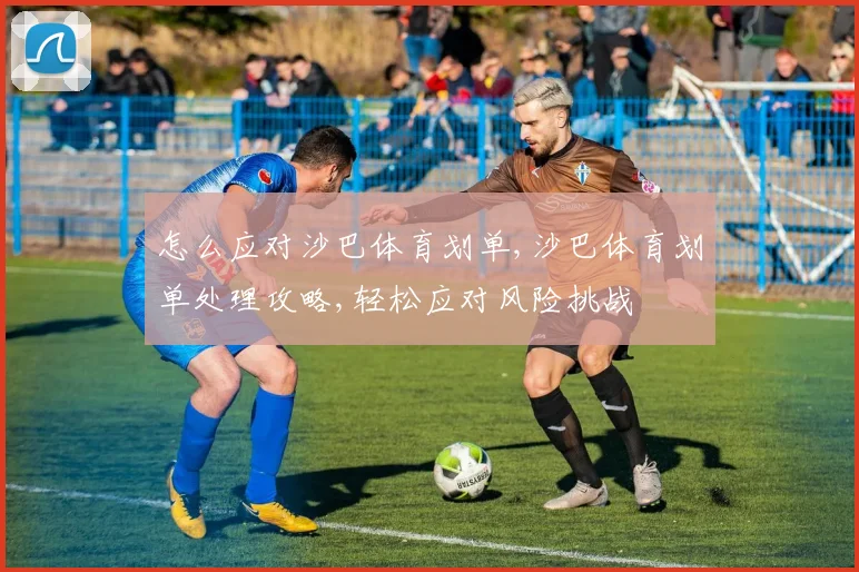 怎么应对沙巴体育划单,沙巴体育划单处理攻略,轻松应对风险挑战