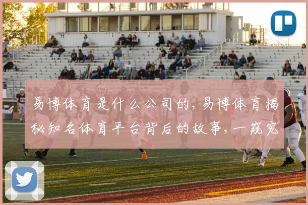易博体育是什么公司的,易博体育揭秘知名体育平台背后的故事,一窥究竟