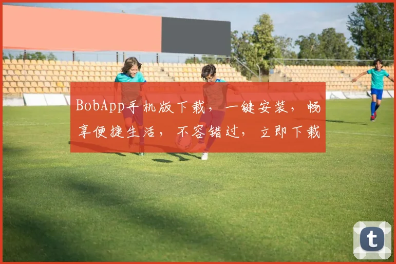 BobApp手机版下载，一键安装，畅享便捷生活，不容错过，立即下载