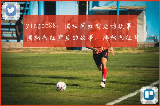yingbb88，揭秘网红背后的故事，揭秘网红背后的故事，揭秘网红背后的故事